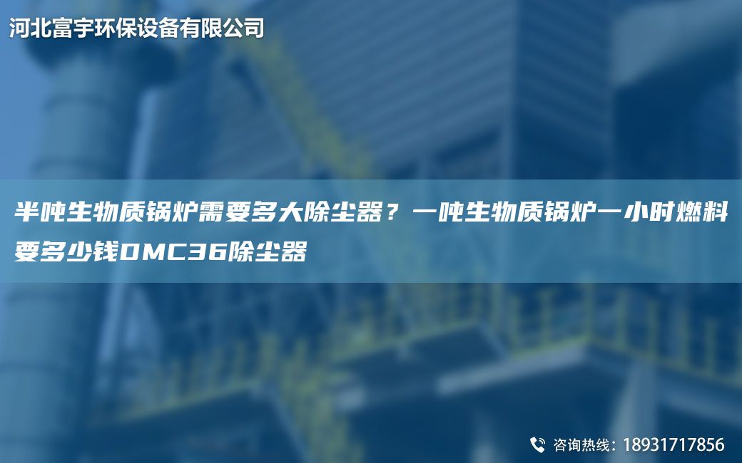 半吨生物质锅炉需要多大除尘器？一吨生物质锅炉一小时燃料要多少钱DMC36除尘器