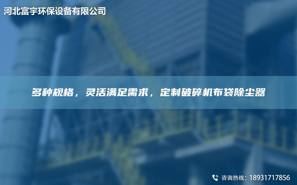 多种规格，灵活满足需求，定制破碎机布袋除尘器