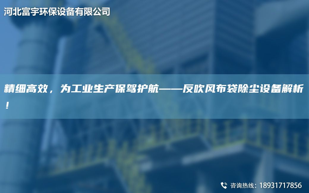 精细高效，为工业生产保驾护航——反吹风布袋除尘设备解析！