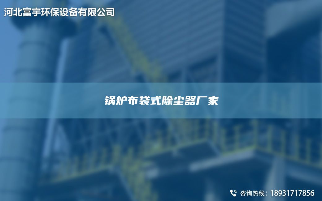 锅炉布袋式除尘器厂家