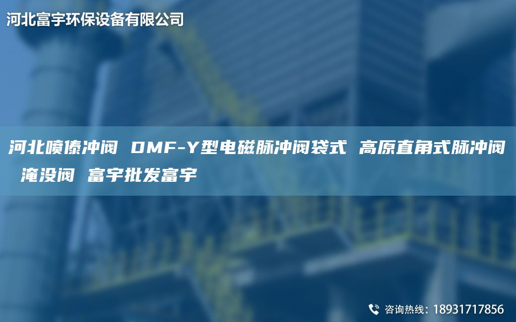 河北喷傣冲阀 DMF-Y型电磁脉冲阀袋式 高原直角式脉冲阀 淹没阀 富宇批发富宇