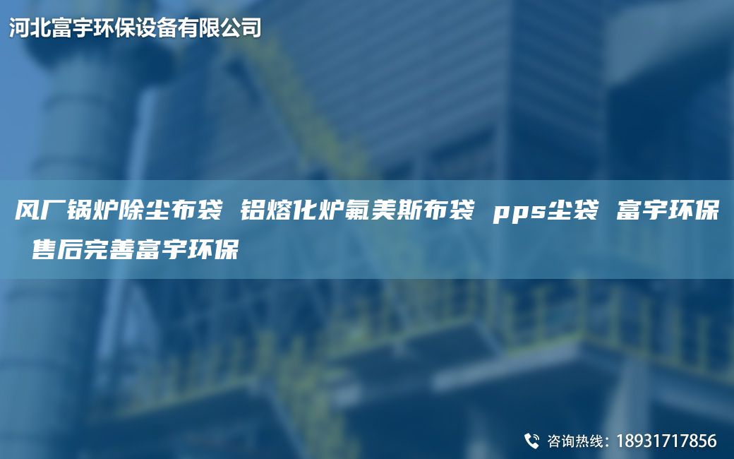 风厂锅炉除尘布袋 铝熔化炉氟美斯布袋 pps尘袋 富宇环保 售后完善富宇环保