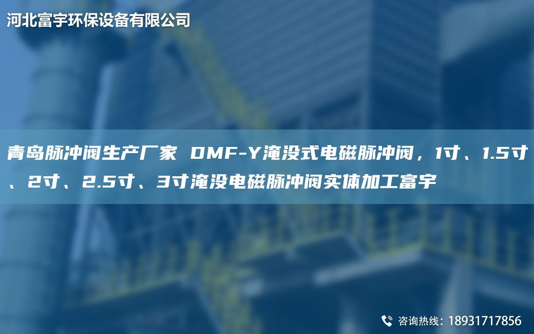 青岛脉冲阀生产厂家 DMF-Y淹没式电磁脉冲阀，1寸、1.5寸、2寸、2.5寸、3寸淹没电磁脉冲阀实体加工富宇
