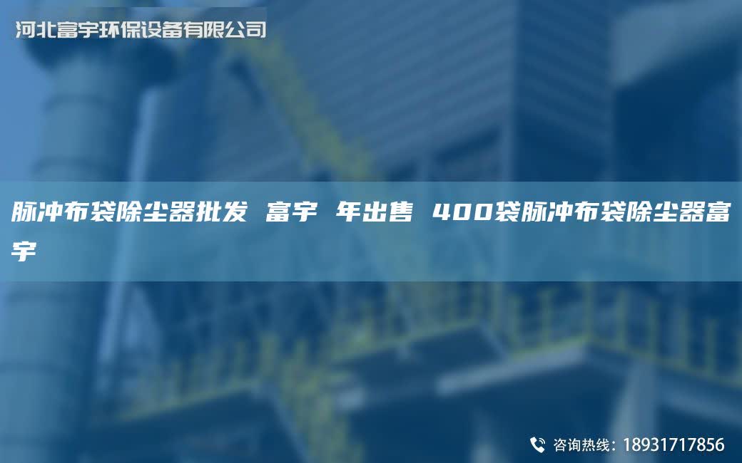 脉冲布袋除尘器批发 富宇 NA出售 400袋脉冲布袋除尘器富宇