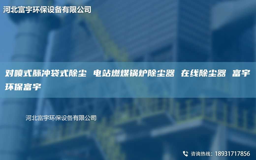 对喷式脉冲袋式除尘 电站燃煤锅炉除尘器 在线除尘器 富宇环保富宇