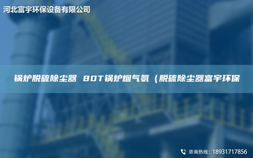 锅炉脱硫除尘器 80T锅炉烟气氨（脱硫除尘器富宇环保