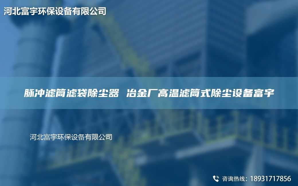 脉冲滤筒滤袋除尘器 冶金厂高温滤筒式除尘设备富宇