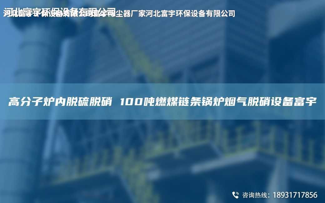 高分子炉内脱硫脱硝 100吨燃煤链条锅炉烟气脱硝设备富宇