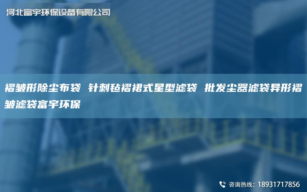 褶皱形除尘布袋 针刺毡褶裙式星型滤袋 批发尘器滤袋异形褶皱滤袋富宇环保