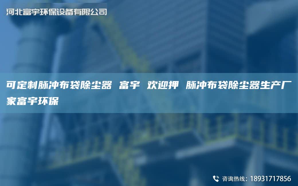 可定制脉冲布袋除尘器 富宇 欢迎押 脉冲布袋除尘器生产厂家富宇环保