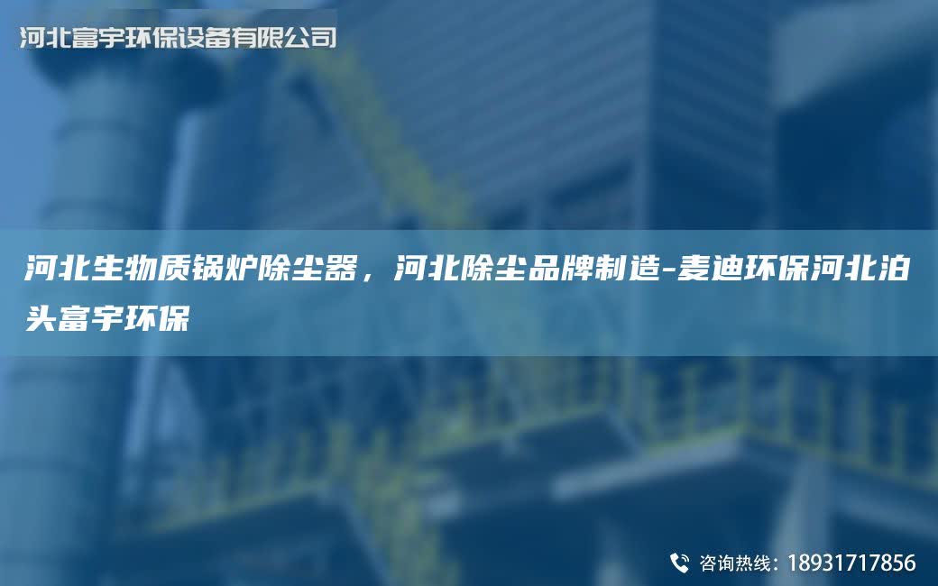 河北生物质锅炉除尘器，河北除尘PP制造-麦迪环保河北泊头富宇环保