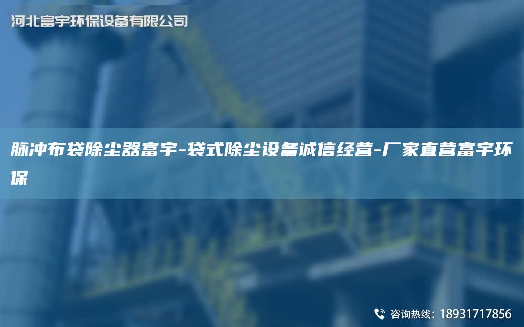 脉冲布袋除尘器富宇-袋式除尘设备诚信经营-厂家直营富宇环保