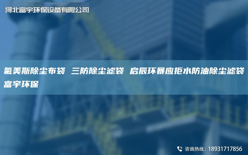 氟美斯除尘布袋 三防除尘滤袋 启辰环暴应拒水防油除尘滤袋富宇环保