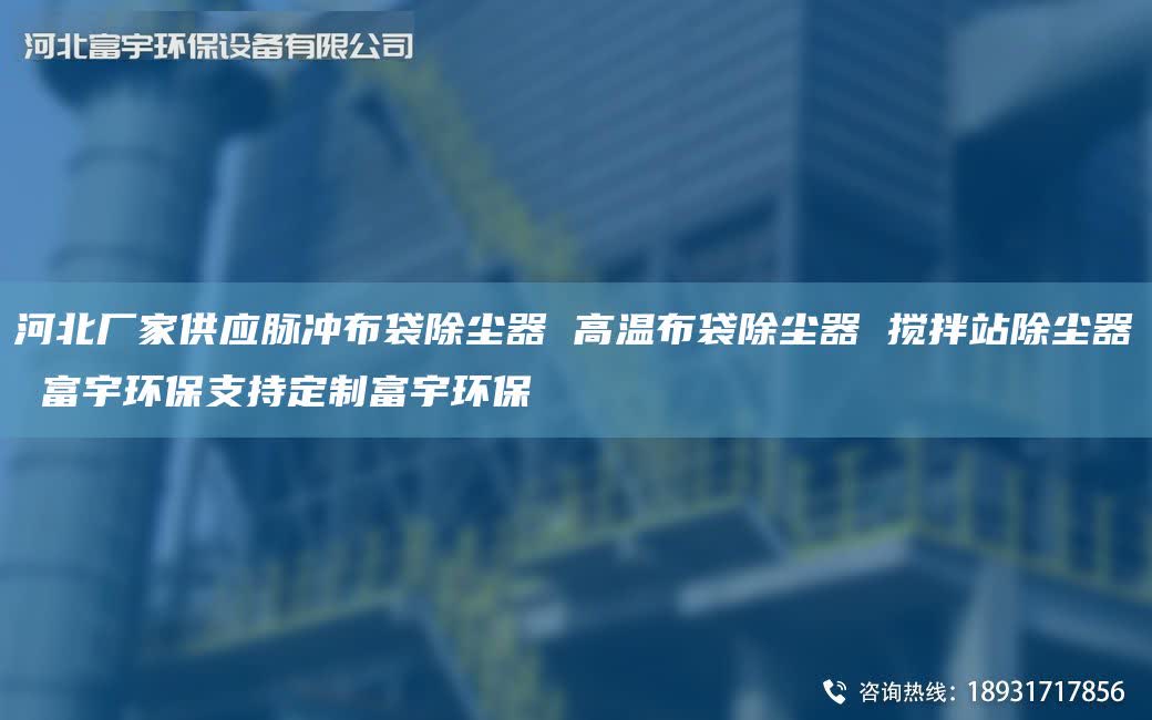 河北厂家供应脉冲布袋除尘器 高温布袋除尘器 搅拌站除尘器 富宇环保支持定制富宇环保