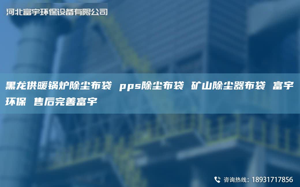 黑龙供暖锅炉除尘布袋 pps除尘布袋 矿山除尘器布袋 富宇环保 售后完善富宇
