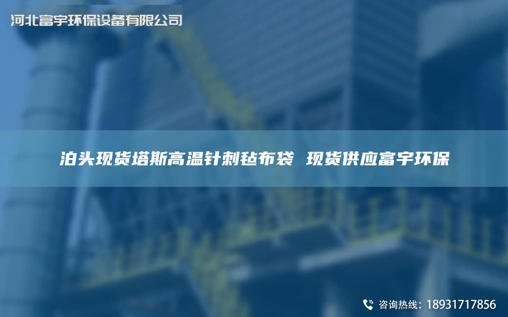 泊头现货塔斯高温针刺毡布袋 现货供应富宇环保