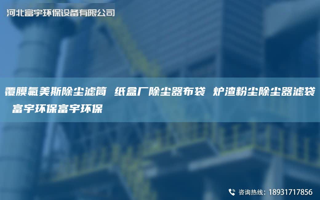覆膜氟美斯除尘滤筒 纸盒厂除尘器布袋 炉渣粉尘除尘器滤袋 富宇环保富宇环保