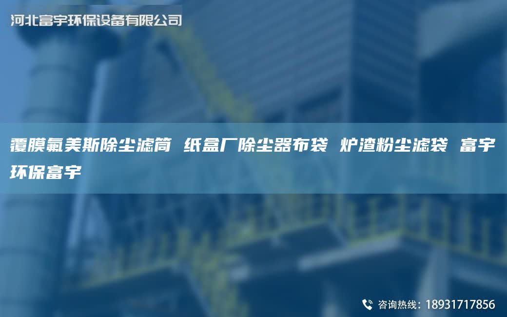 覆膜氟美斯除尘滤筒 纸盒厂除尘器布袋 炉渣粉尘滤袋 富宇环保富宇
