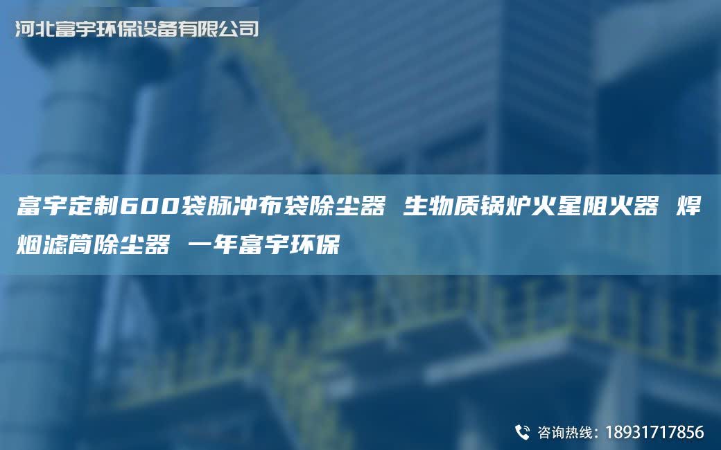 富宇定制600袋脉冲布袋除尘器 生物质锅炉火星阻火器 焊烟滤筒除尘器 一NA富宇环保