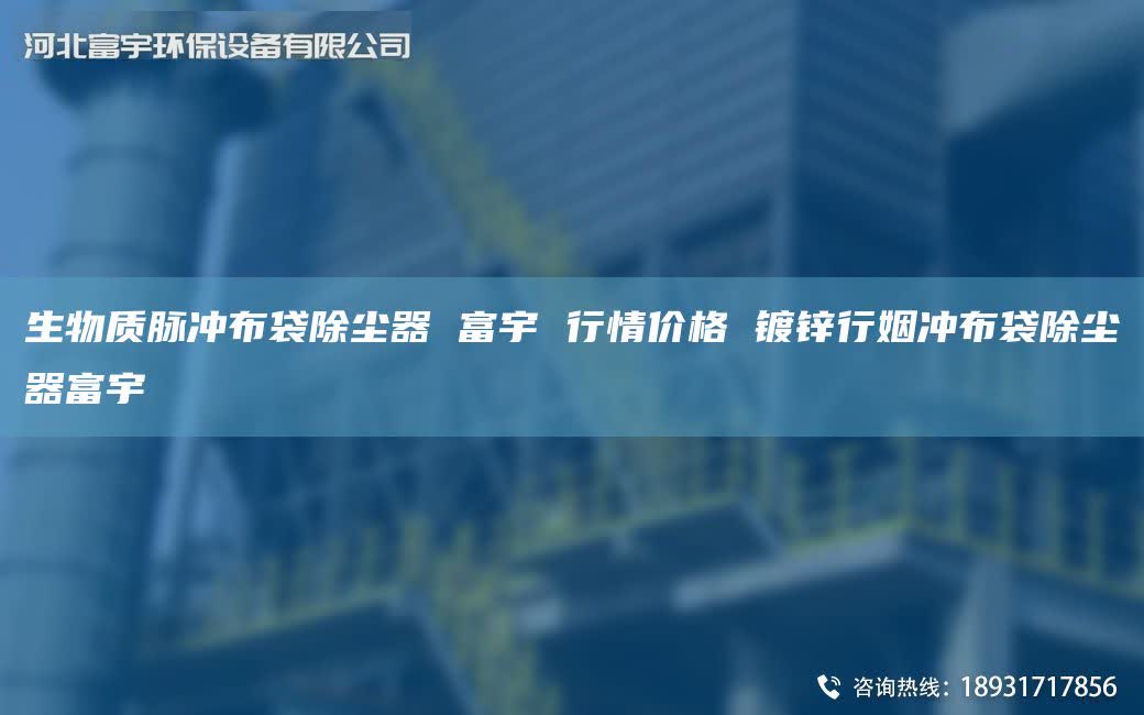生物质脉冲布袋除尘器 富宇 行情价格 镀锌行姻冲布袋除尘器富宇