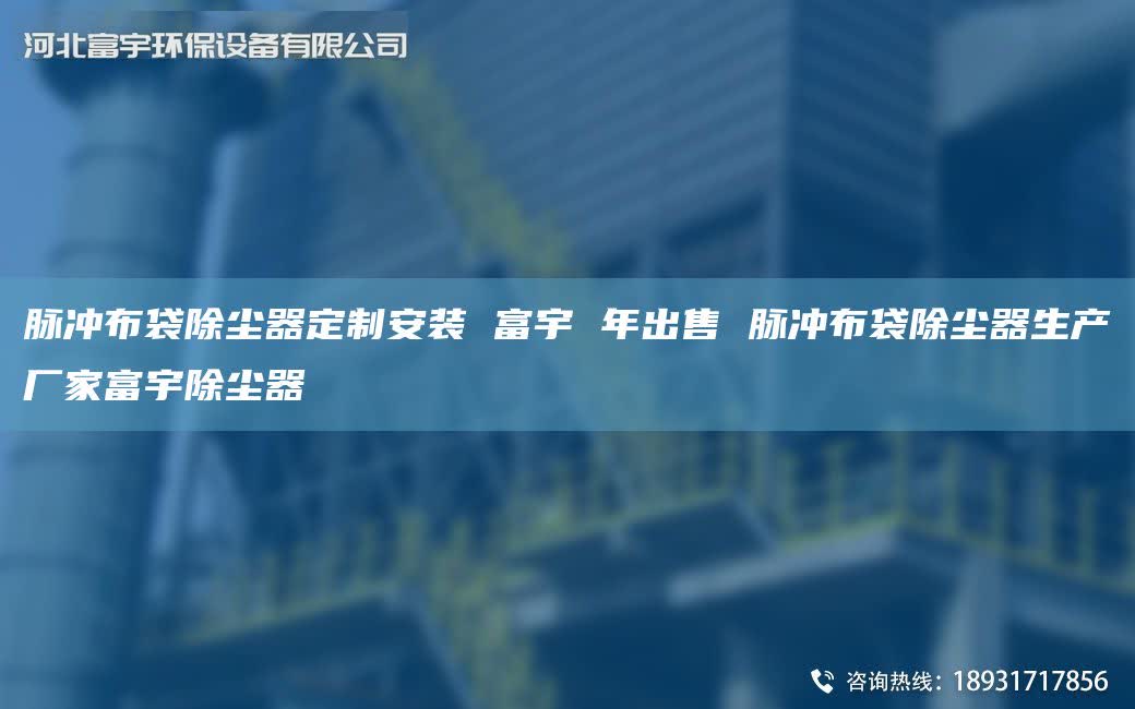 脉冲布袋除尘器定制安装 富宇 NA出售 脉冲布袋除尘器生产厂家富宇除尘器