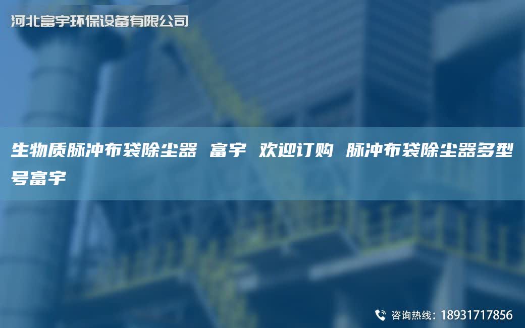生物质脉冲布袋除尘器 富宇 欢迎订购 脉冲布袋除尘器多型号富宇