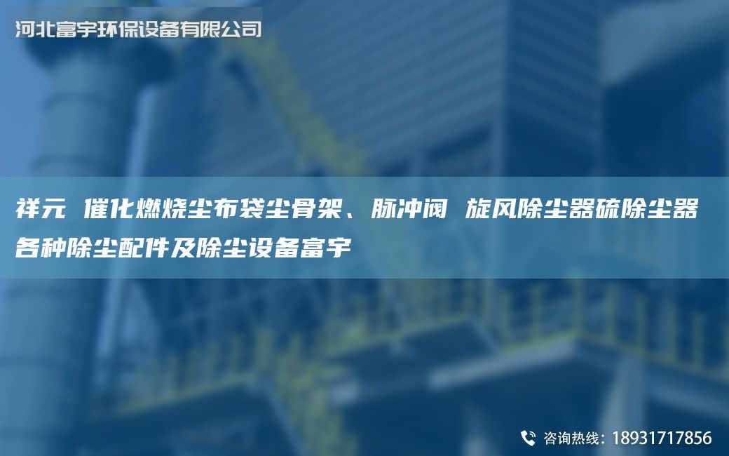 祥元 催化燃烧尘布袋尘骨架、脉冲阀 旋风除尘器硫除尘器 各种除尘配件及除尘设备富宇
