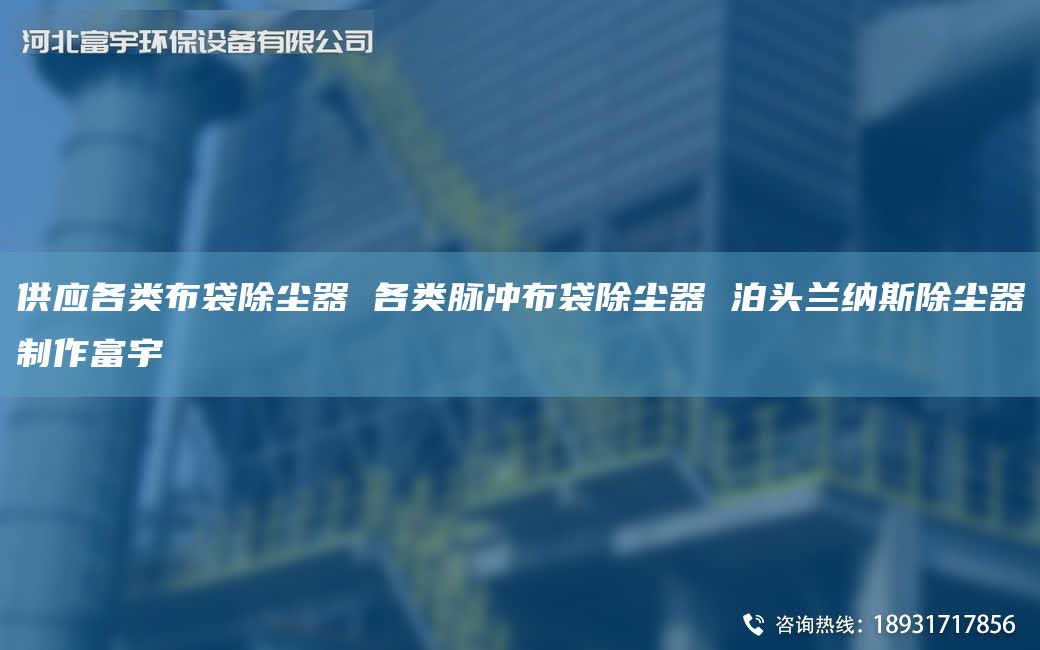 供应各类布袋除尘器 各类脉冲布袋除尘器 泊头兰纳斯除尘器制作富宇