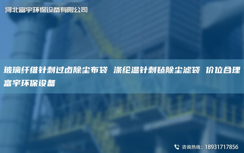 玻璃纤维针刺过卤除尘布袋 涤纶温针刺毡除尘滤袋 价位合理富宇环保设备