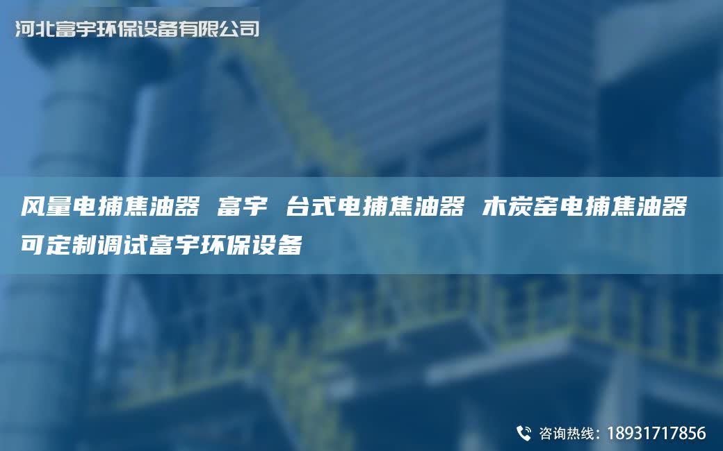 风量电捕焦油器 富宇 TA-I式电捕焦油器 木炭窑电捕焦油器 可定制调试富宇环保设备