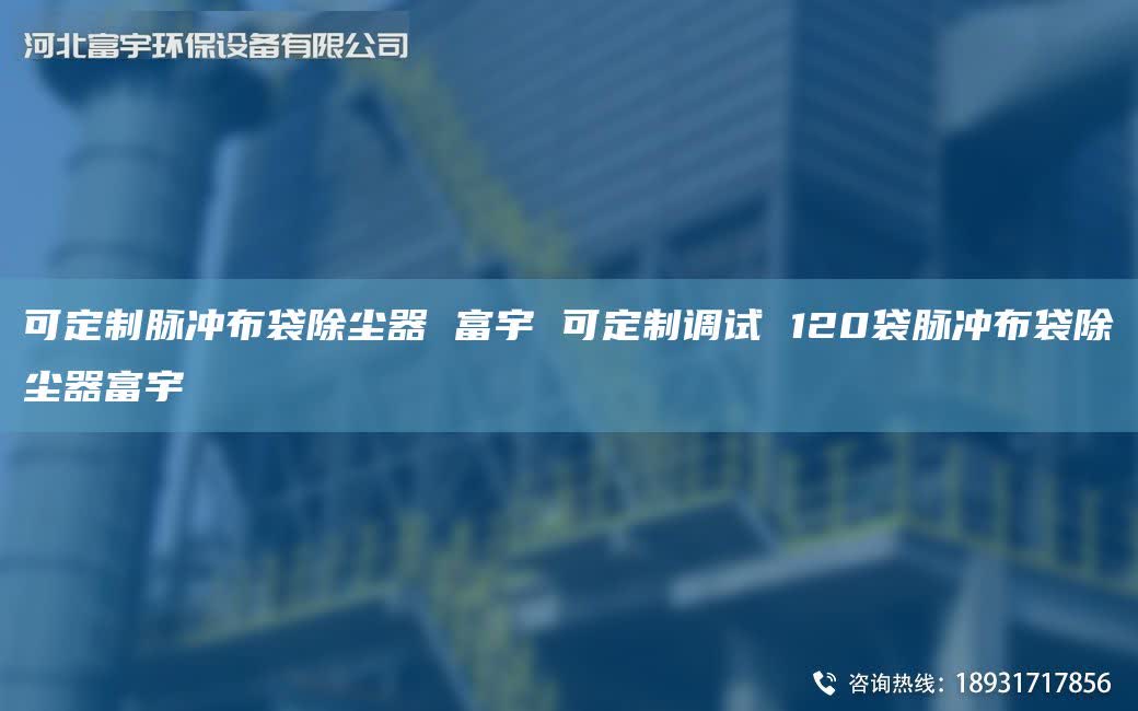 可定制脉冲布袋除尘器 富宇 可定制调试 120袋脉冲布袋除尘器富宇