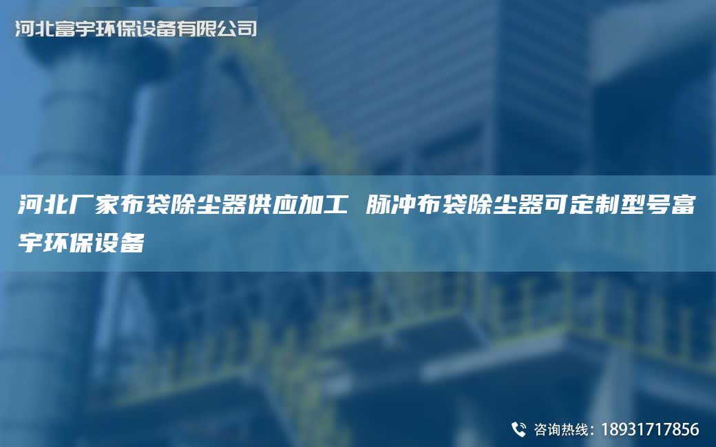 河北厂家布袋除尘器供应加工 脉冲布袋除尘器可定制型号富宇环保设备