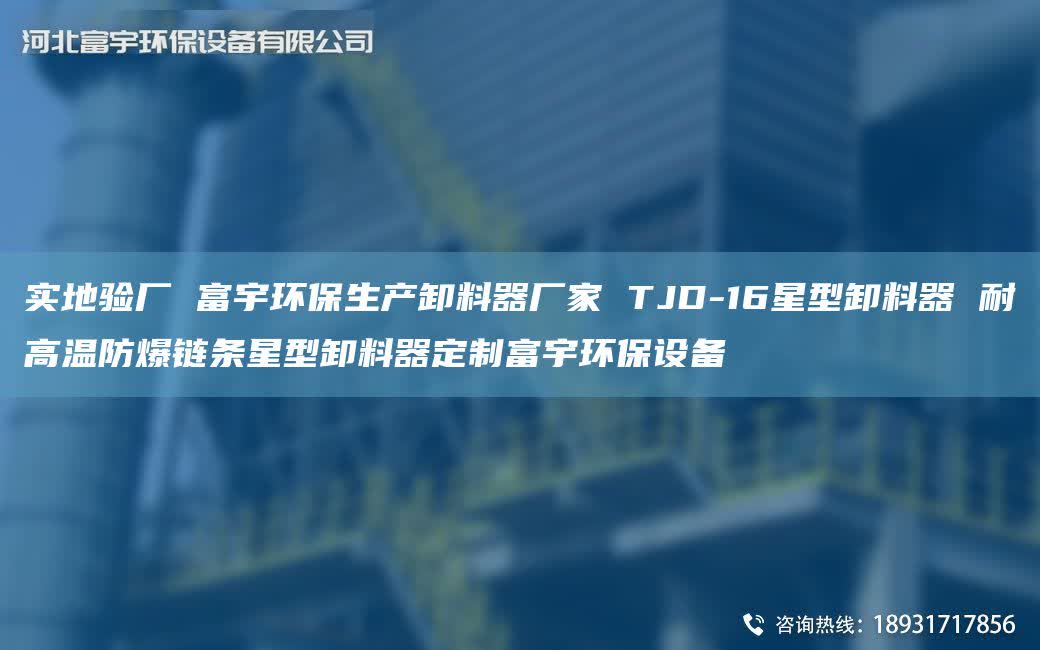 实地验厂 富宇环保生产卸料器厂家 TJD-16星型卸料器 耐高温防爆链条星型卸料器定制富宇环保设备