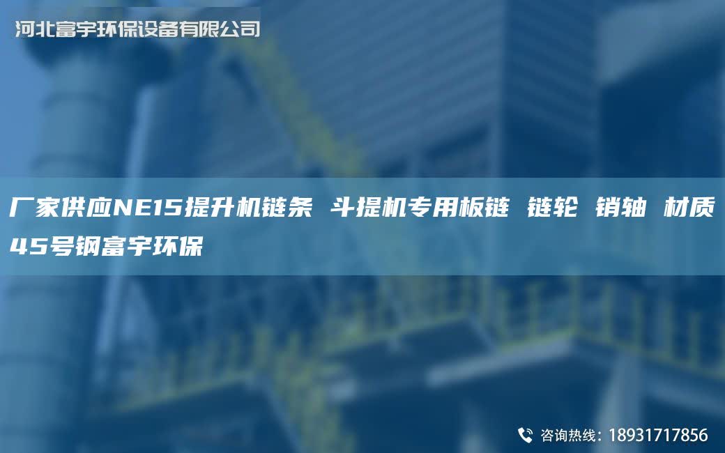 厂家供应NE15提升机链条 斗提机专用板链 链轮 销轴 材质45号钢富宇环保