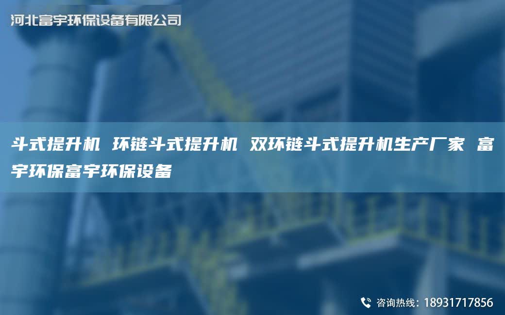 斗式提升机 环链斗式提升机 双环链斗式提升机生产厂家 富宇环保富宇环保设备