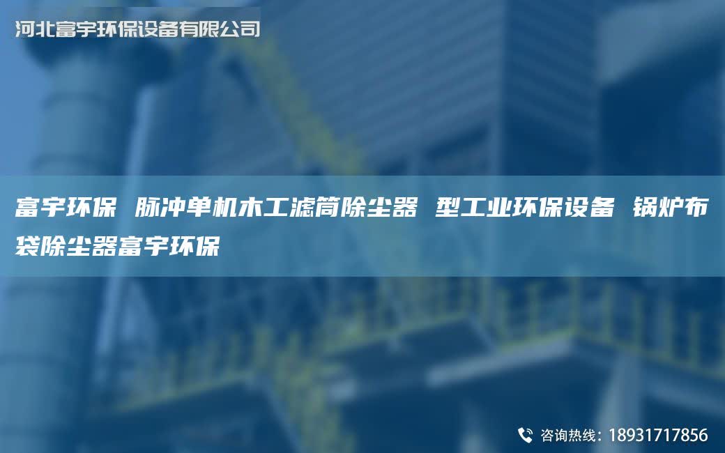 富宇环保 脉冲单机木工滤筒除尘器 型工业环保设备 锅炉布袋除尘器富宇环保
