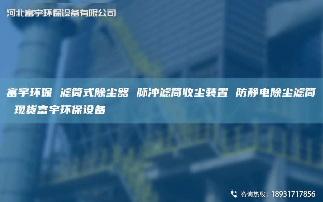 富宇环保 滤筒式除尘器 脉冲滤筒收尘装置 防静电除尘滤筒 现货富宇环保设备