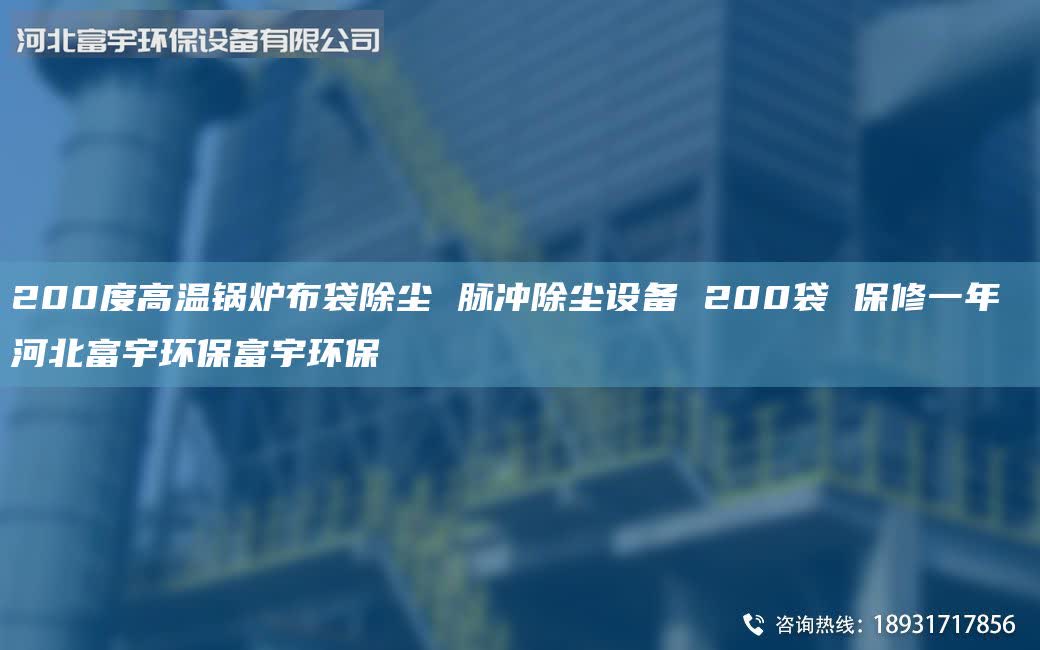 200度高温锅炉布袋除尘 脉冲除尘设备 200袋 保修一年 河北富宇环保富宇环保