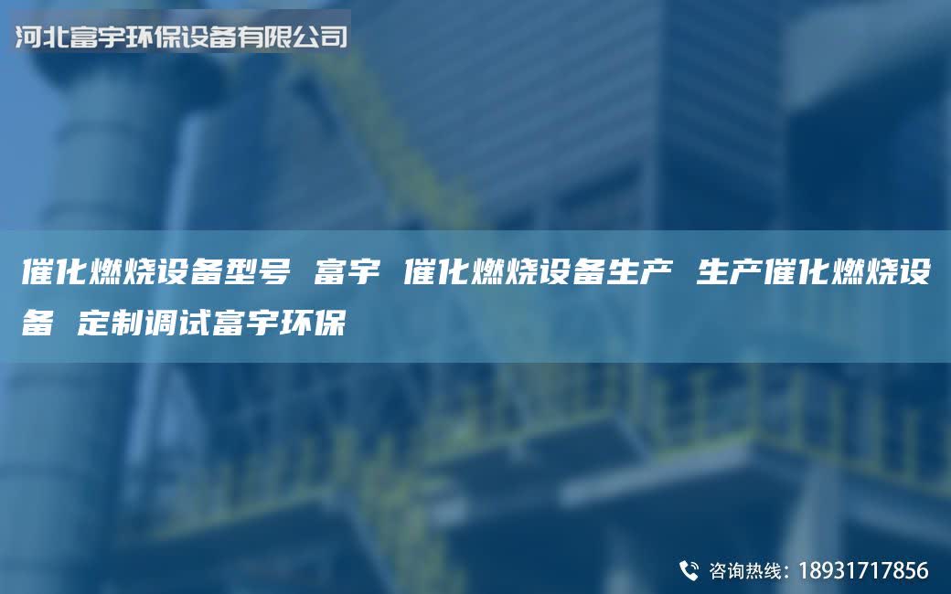 催化燃烧设备型号 富宇 催化燃烧设备生产 生产催化燃烧设备 定制调试富宇环保