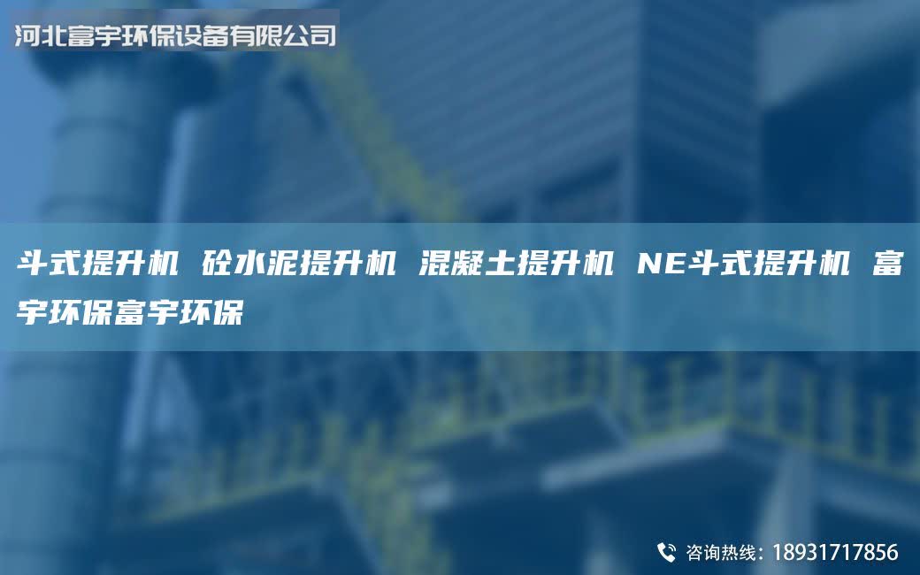 斗式提升机 砼水泥提升机 混凝土提升机 NE斗式提升机 富宇环保富宇环保