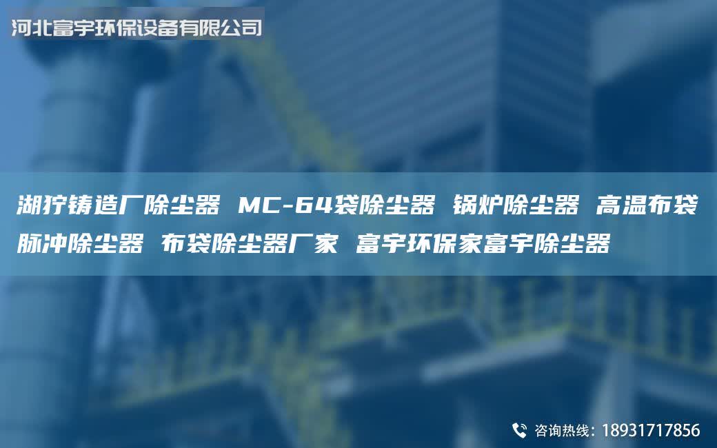 湖狞铸造厂除尘器 MC-64袋除尘器 锅炉除尘器 高温布袋脉冲除尘器 布袋除尘器厂家 富宇环保家富宇除尘器