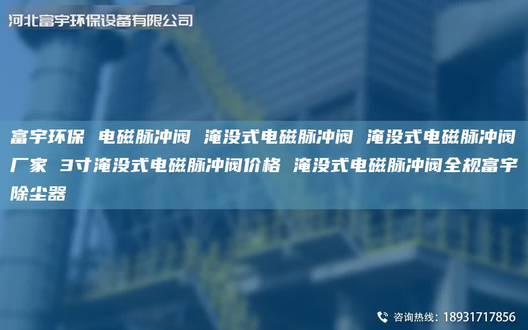 富宇环保 电磁脉冲阀 淹没式电磁脉冲阀 淹没式电磁脉冲阀厂家 3寸淹没式电磁脉冲阀价格 淹没式电磁脉冲阀全规富宇除尘器