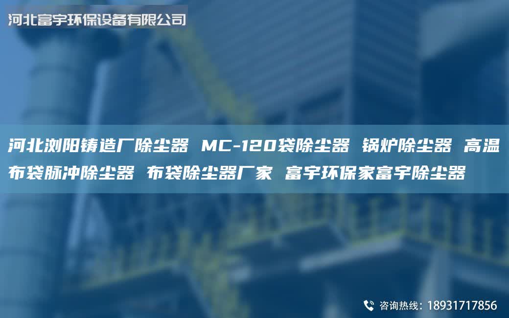 河北浏阳铸造厂除尘器 MC-120袋除尘器 锅炉除尘器 高温布袋脉冲除尘器 布袋除尘器厂家 富宇环保家富宇除尘器