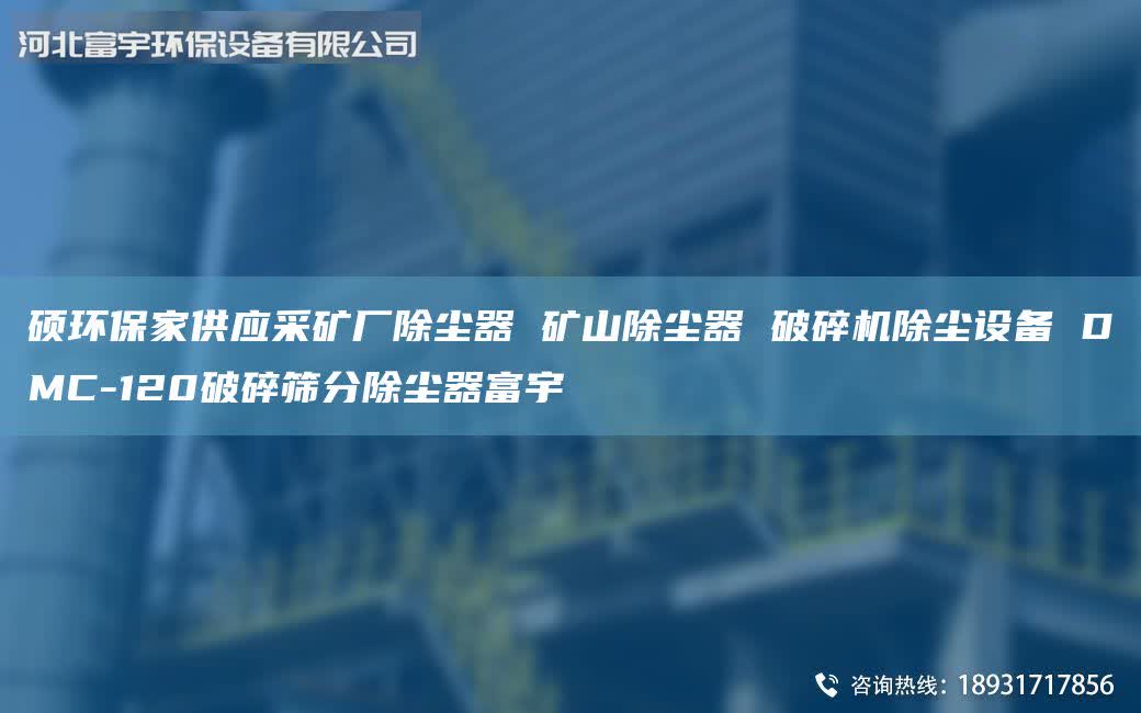 硕环保家供应采矿厂除尘器 矿山除尘器 破碎机除尘设备 DMC-120破碎筛分除尘器富宇