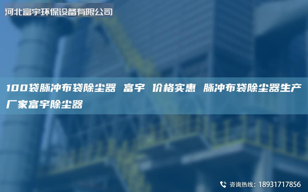 100袋脉冲布袋除尘器 富宇 价格实惠 脉冲布袋除尘器生产厂家富宇除尘器
