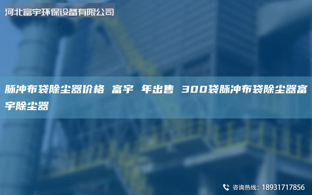 脉冲布袋除尘器价格 富宇 年出售 300袋脉冲布袋除尘器富宇除尘器
