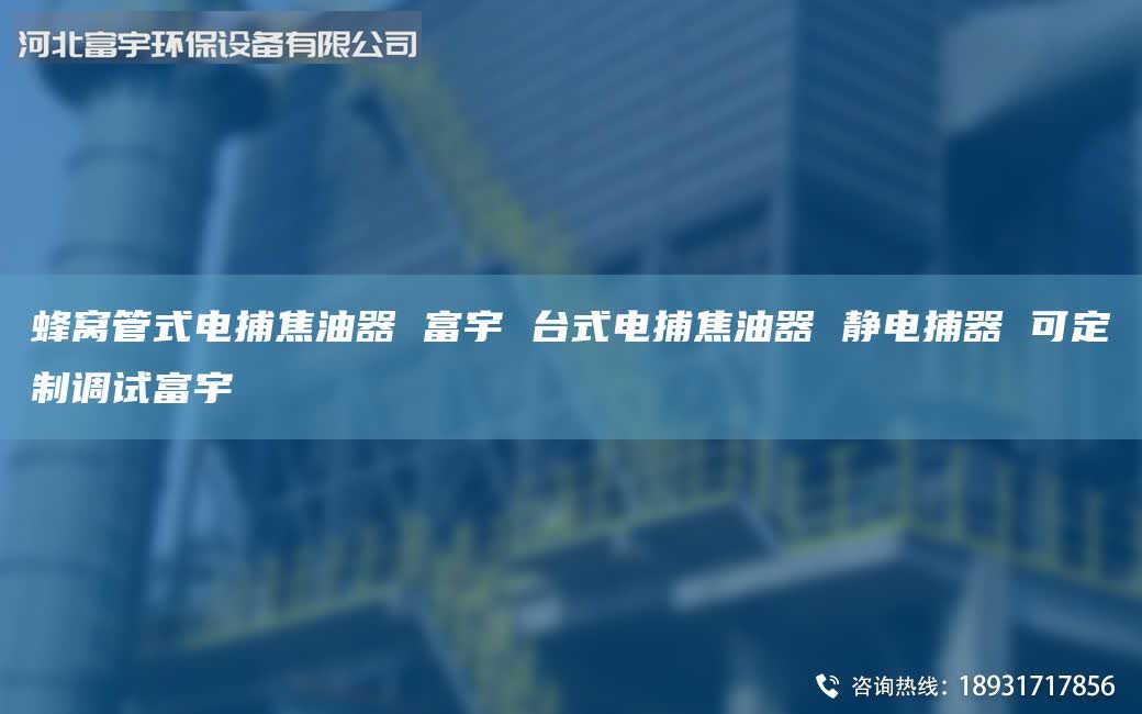 蜂窝管式电捕焦油器 富宇 台式电捕焦油器 静电捕器 可定制调试富宇