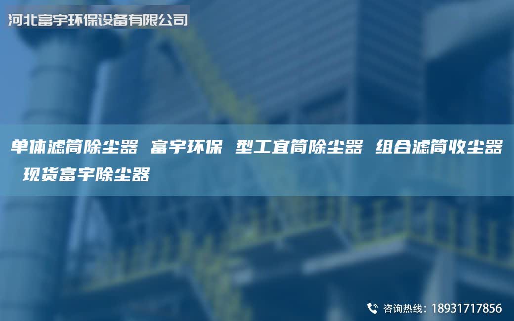 单体滤筒除尘器 富宇环保 型工宜筒除尘器 组合滤筒收尘器 现货富宇除尘器