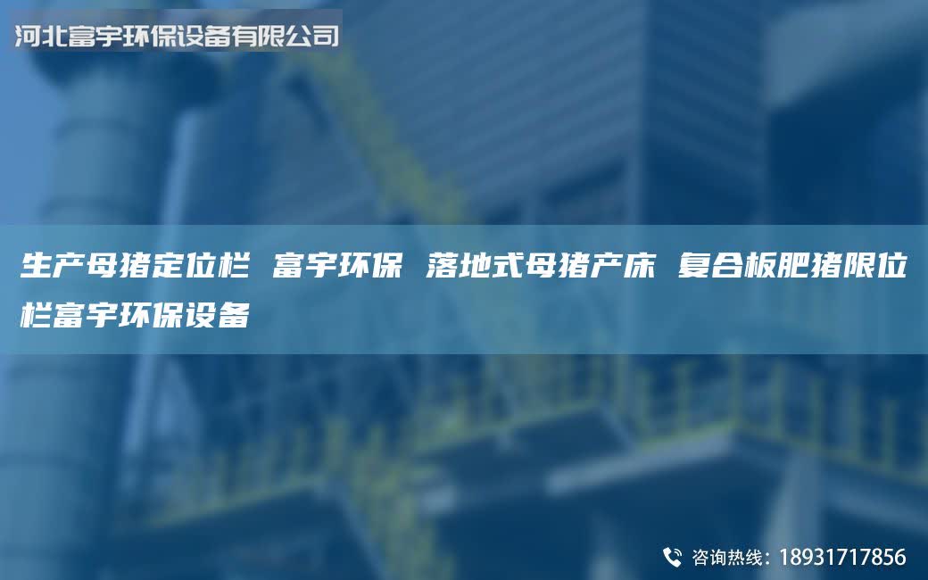 生产母猪定位栏 富宇环保 落地式母猪产床 复合板肥猪限位栏富宇环保设备