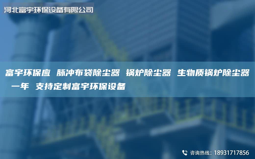富宇环保应 脉冲布袋除尘器 锅炉除尘器 生物质锅炉除尘器 一年 支持定制富宇环保设备